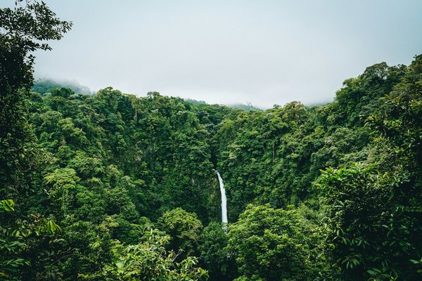 Quels sont les meilleurs conseils pour une randonnée dans les forêts tropicales du Costa Rica ?
